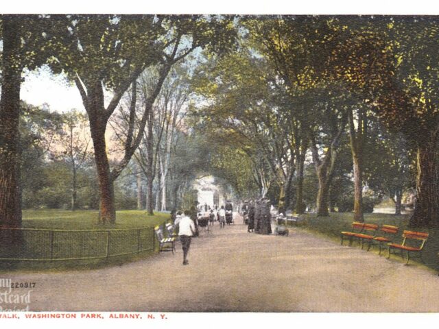 Elm Walk, Washington Park