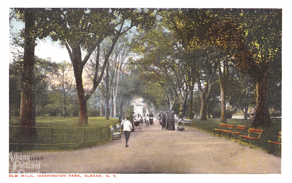 Elm Walk Washington Park