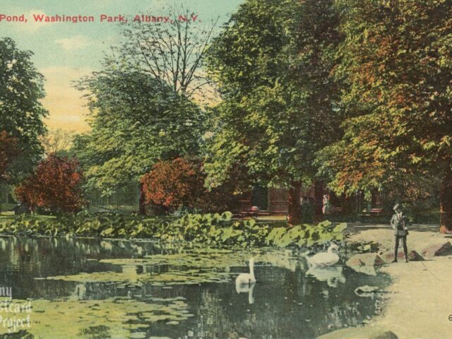 Lily Pond, Washington Park