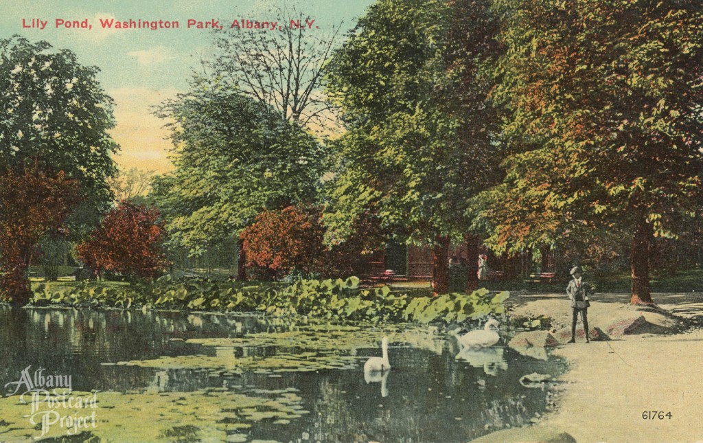 Lily Pond, Washington Park