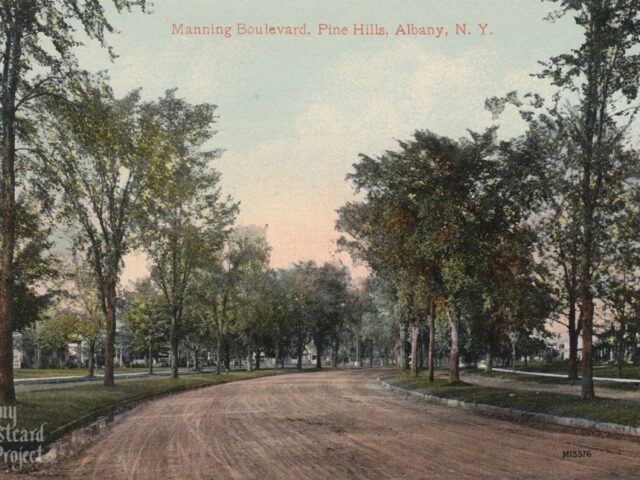 Manning Boulevard, Pine Hills