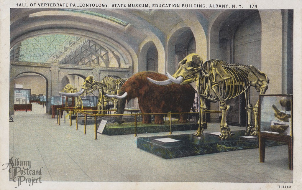 Hall of Vertebrate Paleontogy, State Museum, Education Building