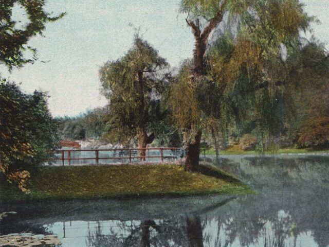 View on Lake, Washington Park