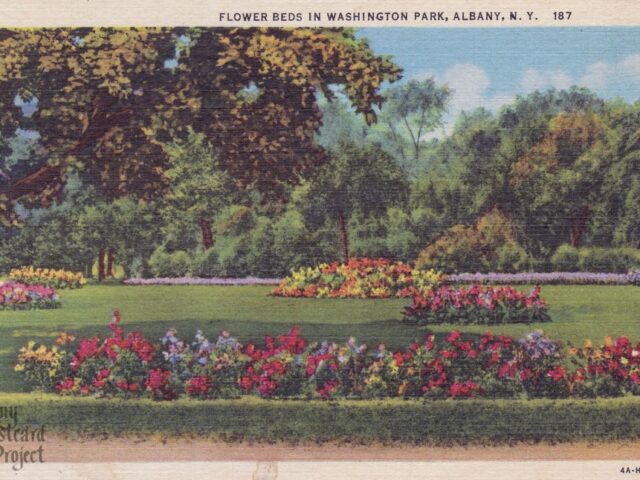 Flower Beds in Washington Park